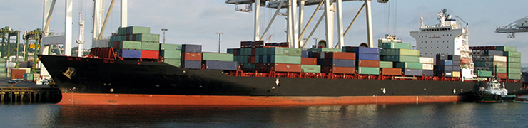 International Shipping